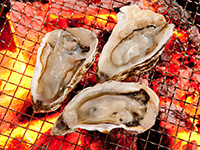 三養水産　ハーフシェル牡蠣