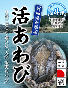 石巻三陸産活あわびはこちら