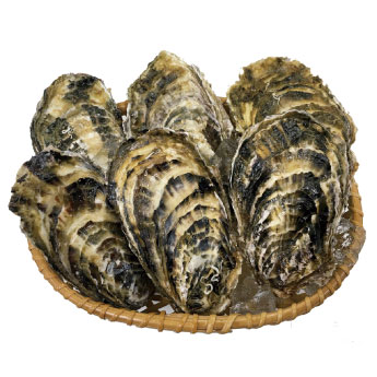 殻付き生牡蠣（生食用20個）