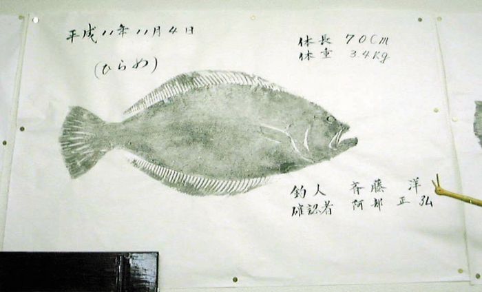 �q�����̋���