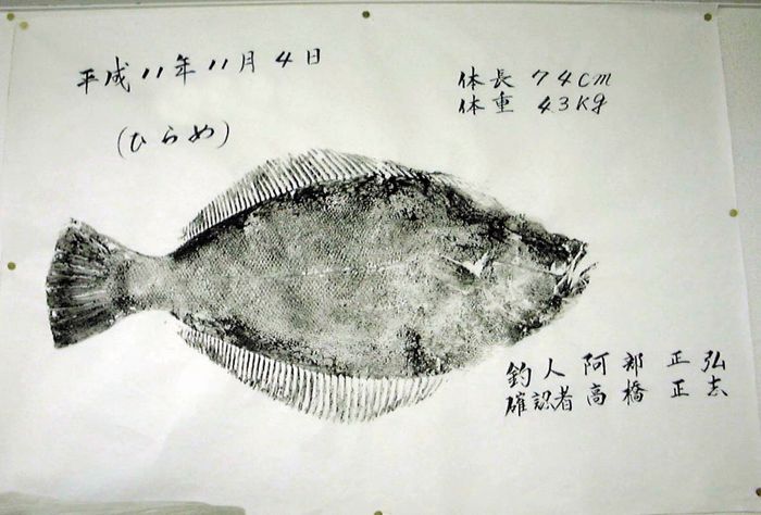 �q�����̋���