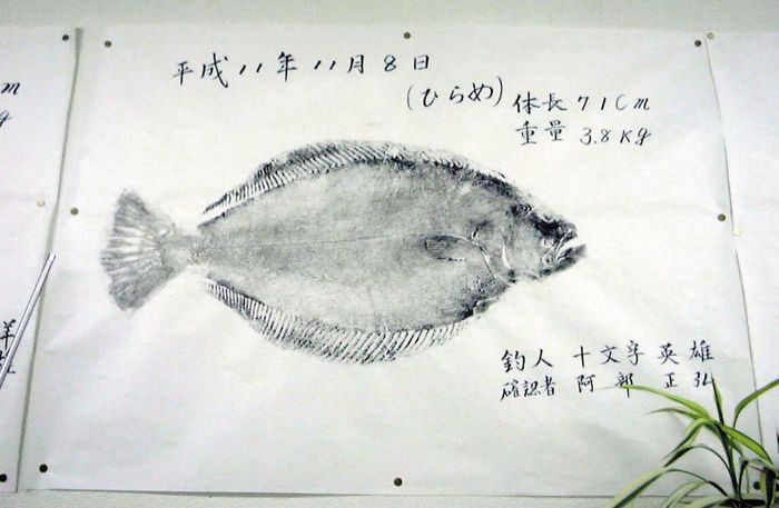 �q�����̋���