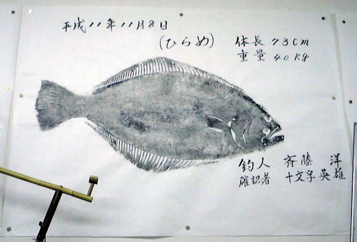 �q�����̋���