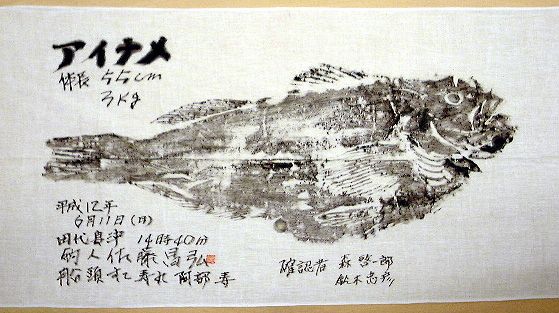 55cm�̃A�C�i��