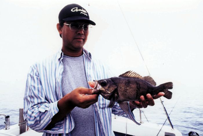 �����o��36�B