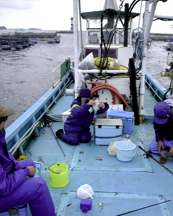 �u�Ð�p���r�M�i�[�̃J���C�ނ�