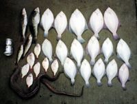 �J���C15���A�A�C�i��3�C�A�n��2�C�A�n�i�_�C6���i1�l�j